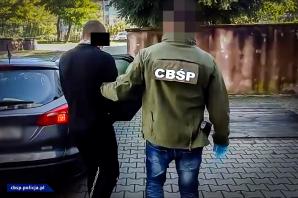 [VIDEO] CBŚP zaskoczyło podejrzanych podczas ścinania krzaków konopi